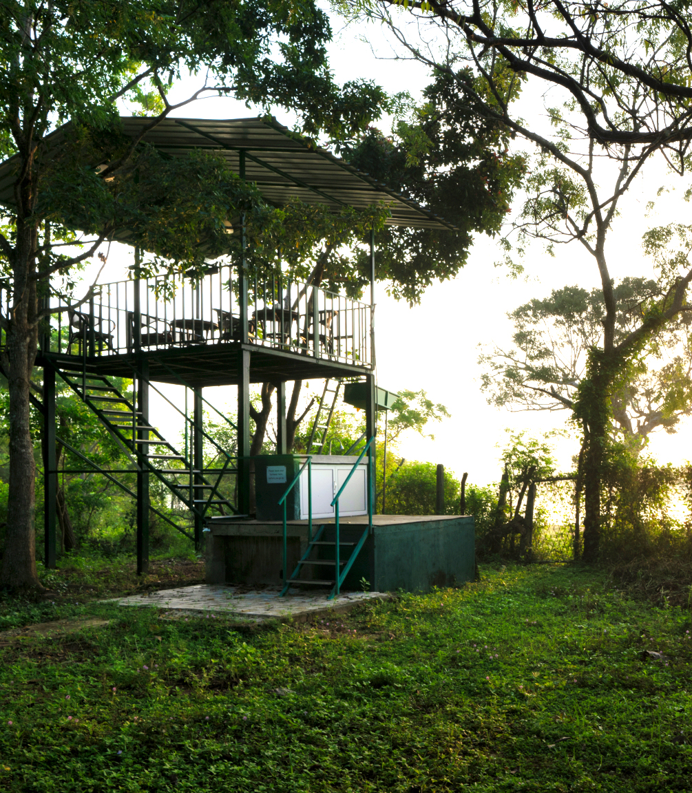 Tree House Neem House