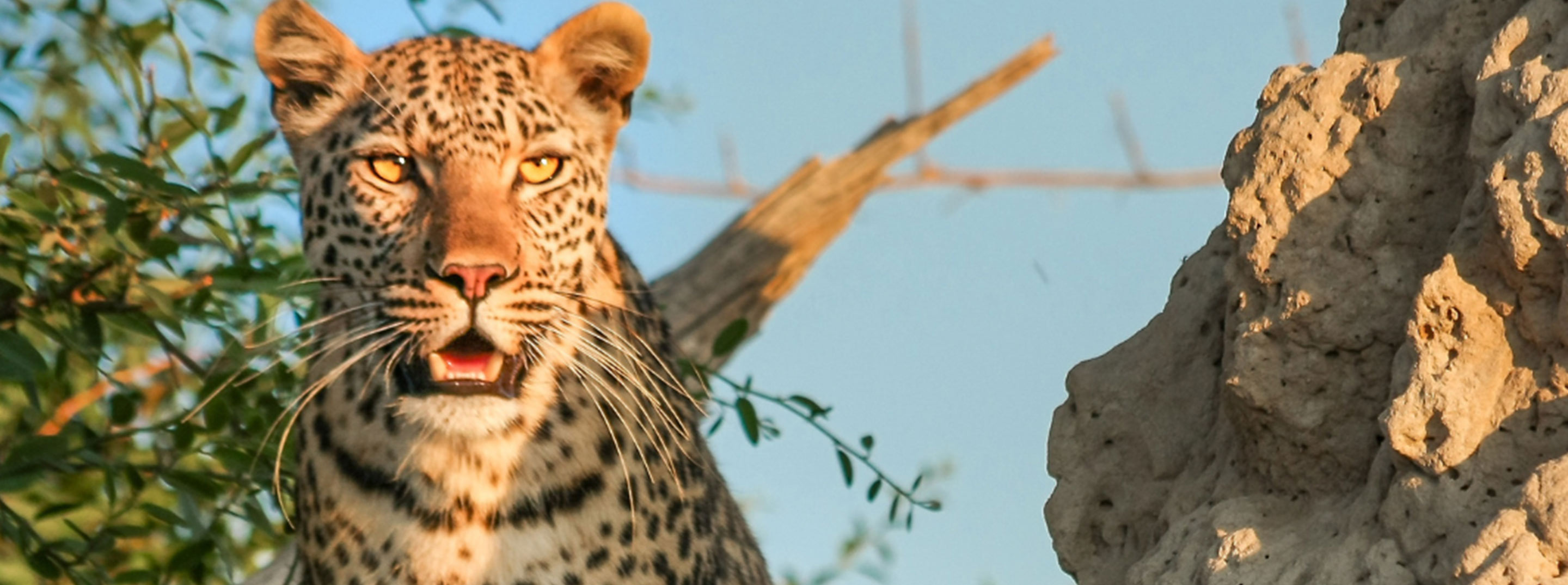 Attractions in sri lanka